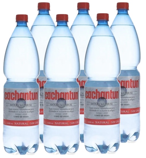 CACHANTUN PET 1600CC S-GAS DISPLAYx6