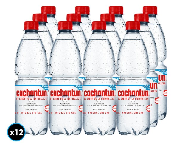 CACHANTUN S-GAS 500CC DISPLAYx12