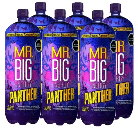 MR BIG 2 LITROS PACKx6