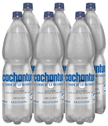 CACHANTUN PET 1600CC C-GAS DISPLAYx6