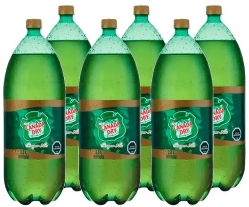 [Bebidas] CANADA DRY PET 3000CC DISPLAYx6